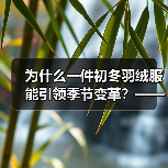 为什么一件初冬羽绒服能引领季节变革？——深度探讨Early Winter Down Jacket的行业价值与独特魅力