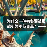 为什么一件初冬羽绒服能引领季节变革？——深度探讨Early Winter Down Jacket的行业价值与独特魅力（图2）