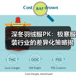 深冬羽绒服PK：极寒服装行业的差异化策略揭秘（图4）