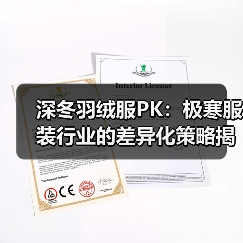 深冬羽绒服PK：极寒服装行业的差异化策略揭秘