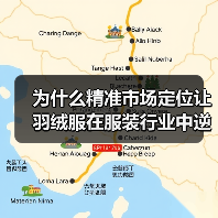 为什么精准市场定位让羽绒服在服装行业中逆袭成为赢家？——看看Down Jacket Market Positioning的深度策略（图2）
