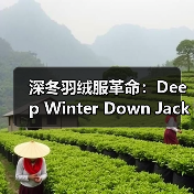 深冬羽绒服革命：Deep Winter Down Jacket的差异化竞争策略（图2）