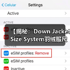 【揭秘：Down Jacket Size System羽绒服尺码体系背后的行业玄机】（图2）