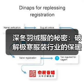 深冬羽绒服的秘密：破解极寒服装行业的保暖差异化（图4）