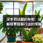 深冬羽绒服的秘密：破解极寒服装行业的保暖差异化（图2）