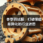 冬季羽绒服：打破保暖差异化的行业迷思（图3）
