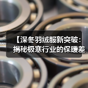 【深冬羽绒服新突破：揭秘极寒行业的保暖差异化战略】（图4）