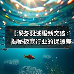 【深冬羽绒服新突破：揭秘极寒行业的保暖差异化战略】（图3）
