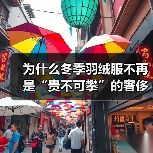 为什么冬季羽绒服不再是“贵不可攀”的奢侈品？用**Winter Down Jacket**打造极致保暖体验，差异化竞争成行业新趋势（图2）