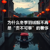 为什么冬季羽绒服不再是“贵不可攀”的奢侈品？用**Winter Down Jacket**打造极致保暖体验，差异化竞争成行业新趋势（图3）