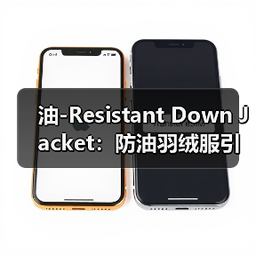 油-Resistant Down Jacket：防油羽绒服引领的耐脏服装新时代（图4）