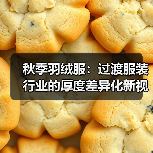 秋季羽绒服：过渡服装行业的厚度差异化新视角（图2）