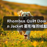 Rhombus Quilt Down Jacket 菱形格羽绒服：时尚革新背后的格型差异化秘诀（图4）