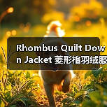 Rhombus Quilt Down Jacket 菱形格羽绒服：时尚革新背后的格型差异化秘诀