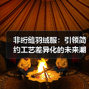 非绗缝羽绒服：引领简约工艺差异化的未来潮流（图2）