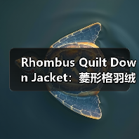 Rhombus Quilt Down Jacket：菱形格羽绒服引领的差异化战略（图3）