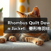 Rhombus Quilt Down Jacket：菱形格羽绒服引领的差异化战略（图2）