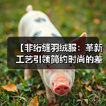 【非绗缝羽绒服：革新工艺引领简约时尚的差异化之路】