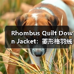 Rhombus Quilt Down Jacket：菱形格羽绒服引领的差异化战略