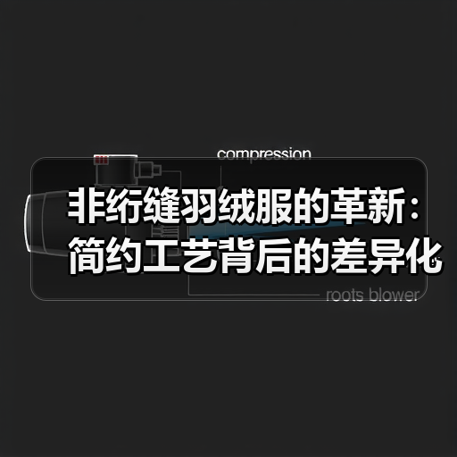 非绗缝羽绒服的革新：简约工艺背后的差异化战略（图4）