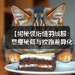 【揭秘竖绗缝羽绒服：显瘦秘籍与纹路差异化的行业革新】（图3）