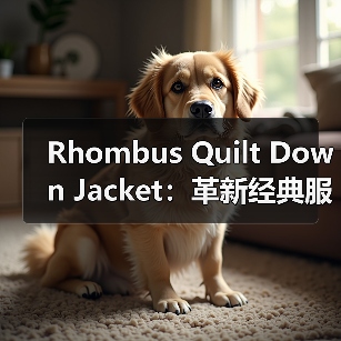 Rhombus Quilt Down Jacket:革新经典服装的格型差异化之路(图2) Rhombus Quilt Down Jacket:革新经典服装的格型差异化之路(图2)