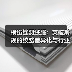 横绗缝羽绒服：突破常规的纹路差异化与行业新趋势（图3）