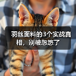 羽丝面料的3个实战真相,别被忽悠了(图2) 羽丝面料的3个实战真相,别被忽悠了(图2)