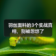 羽丝面料的3个实战真相,别被忽悠了(图3) 羽丝面料的3个实战真相,别被忽悠了(图3)