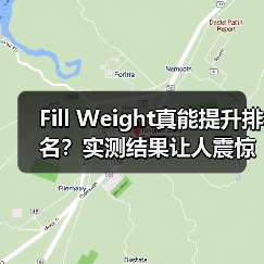 Fill Weight真能提升排名?实测结果让人震惊!(图3) Fill Weight真能提升排名?实测结果让人震惊!(图3)