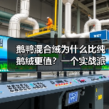 鹅鸭混合绒为什么比纯鹅绒更值?一个实战派的选择逻辑(图2) 鹅鸭混合绒为什么比纯鹅绒更值?一个实战派的选择逻辑(图2)
