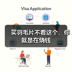 买羽毛片不看这个,你就是在烧钱(图2) 买羽毛片不看这个,你就是在烧钱(图2)