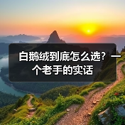 白鹅绒到底怎么选?一个老手的实话(图2) 白鹅绒到底怎么选?一个老手的实话(图2)