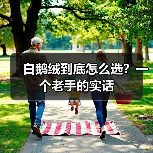 白鹅绒到底怎么选？一个老手的实话