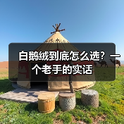 白鹅绒到底怎么选?一个老手的实话(图3) 白鹅绒到底怎么选?一个老手的实话(图3)