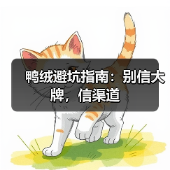 鸭绒避坑指南:别信大牌,信渠道(图3) 鸭绒避坑指南:别信大牌,信渠道(图3)