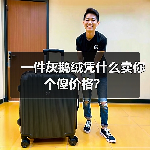 一件灰鹅绒凭什么卖你个傻价格？