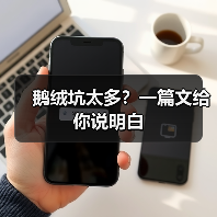 鹅绒坑太多?一篇文给你说明白(图3) 鹅绒坑太多?一篇文给你说明白(图3)