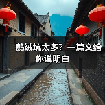 鹅绒坑太多?一篇文给你说明白(图2) 鹅绒坑太多?一篇文给你说明白(图2)