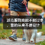 派克服到底能不能过冬,靠的从来不是设计(图2) 派克服到底能不能过冬,靠的从来不是设计(图2)