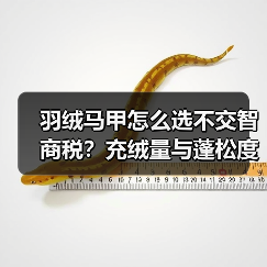 羽绒马甲怎么选不交智商税?充绒量与蓬松度真相揭秘(图3) 羽绒马甲怎么选不交智商税?充绒量与蓬松度真相揭秘(图3)