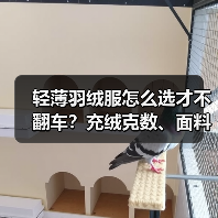 轻薄羽绒服怎么选才不翻车?充绒克数、面料全解析(图4) 轻薄羽绒服怎么选才不翻车?充绒克数、面料全解析(图4)