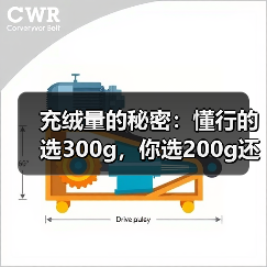 充绒量的秘密：懂行的选300g，你选200g还觉得自己聪明？