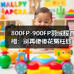 800FP-900FP羽绒服真相:别再傻傻花冤枉钱了(图2) 800FP-900FP羽绒服真相:别再傻傻花冤枉钱了(图2)