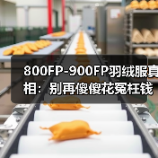 800FP-900FP羽绒服真相:别再傻傻花冤枉钱了(图3) 800FP-900FP羽绒服真相:别再傻傻花冤枉钱了(图3)