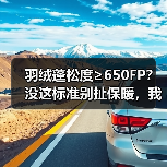 羽绒蓬松度≥650FP?没这标准别扯保暖,我踩坑五年才明白(图3) 羽绒蓬松度≥650FP?没这标准别扯保暖,我踩坑五年才明白(图3)