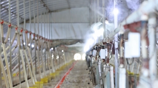 无抗养殖示范基地