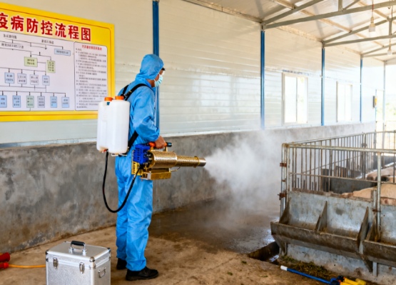 从田间到餐桌：狮头鹅全产业链的 35 亿财富密码