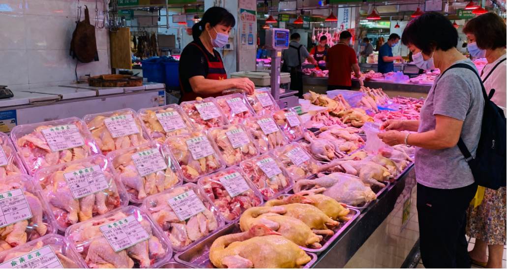 江门新会延续活禽 “集中屠宰” 政策 五年过渡期筑牢防疫与产业转型双防线