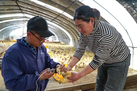 欣悦生态鹅业亮相农产品展销会 生态品牌获广泛关注